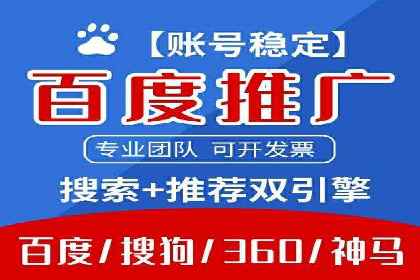 大型企业SEM外包实战案例